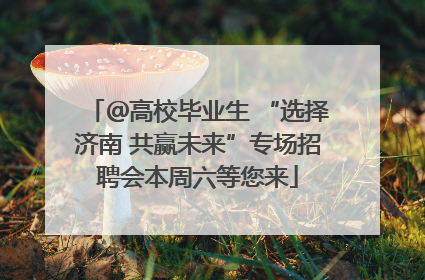 ＠高校毕业生 “选择济南 共赢未来”专场招聘会本周六等您来