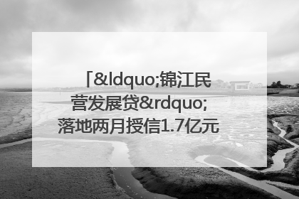 “锦江民营发展贷”落地两月授信1.7亿元，惠及118家民企