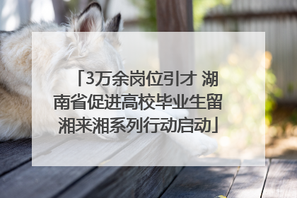3万余岗位引才 湖南省促进高校毕业生留湘来湘系列行动启动