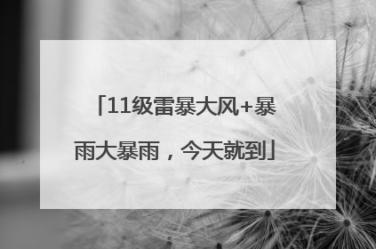 11级雷暴大风+暴雨大暴雨，今天就到