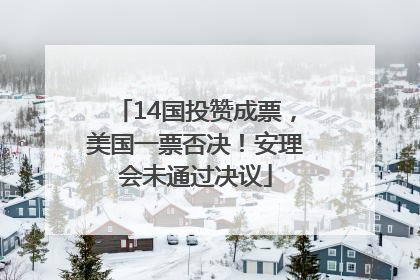 14国投赞成票，美国一票否决！安理会未通过决议