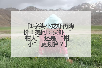 1字头小龙虾再降价！提问：买虾 “钳大” 还是 “钳小” 更划算？
