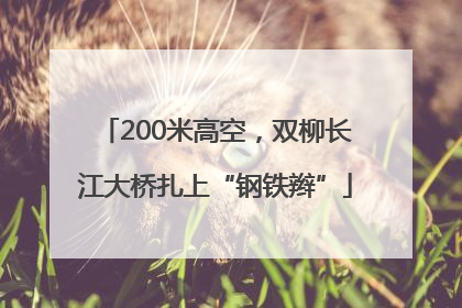 200米高空，双柳长江大桥扎上“钢铁辫”