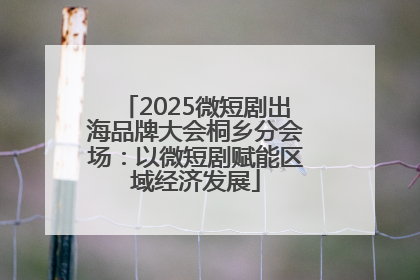 2025微短剧出海品牌大会桐乡分会场：以微短剧赋能区域经济发展