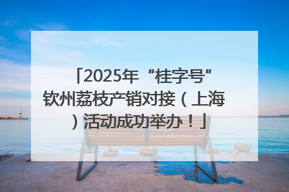 2025年“桂字号”钦州荔枝产销对接（上海）活动成功举办！