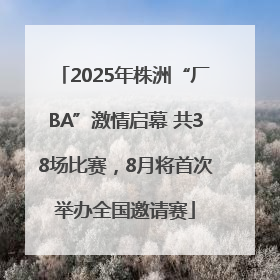 2025年株洲“厂BA”激情启幕 共38场比赛，8月将首次举办全国邀请赛