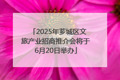 2025年芗城区文旅产业招商推介会将于6月20日举办