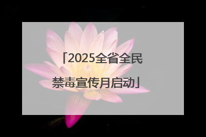 2025全省全民禁毒宣传月启动