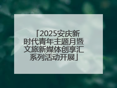 2025安庆新时代青年主题月暨文旅新媒体创享汇系列活动开展