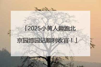 2025小黄人趣跑北京园博园站顺利收官！