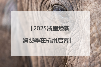 2025浙里焕新消费季在杭州启幕