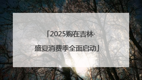 2025购在吉林·盛夏消费季全面启动