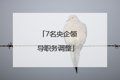 7名央企领导职务调整