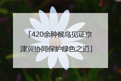420余种候鸟见证京津冀协同保护绿色之道