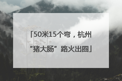 50米15个弯，杭州“猪大肠”路火出圈