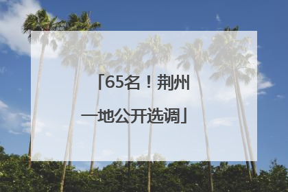 65名！荆州一地公开选调