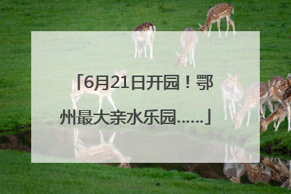6月21日开园！鄂州最大亲水乐园……