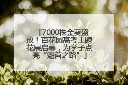 7000株金葵盛放！百花园高考主题花展启幕，为学子点亮“魁首之路”