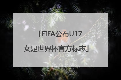 FIFA公布U17女足世界杯官方标志