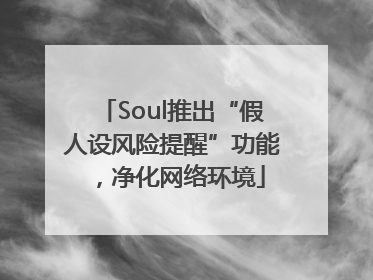 Soul推出“假人设风险提醒”功能，净化网络环境